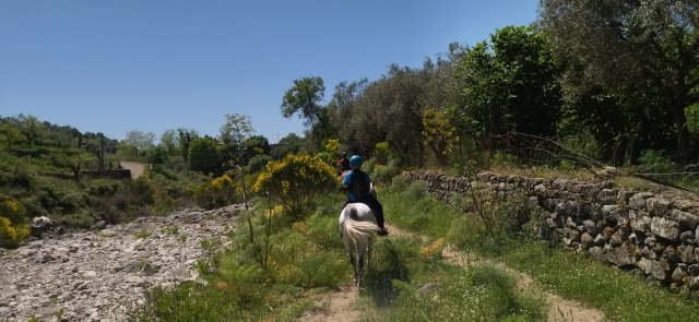 Paseo a caballo en el Parque Etna 3h