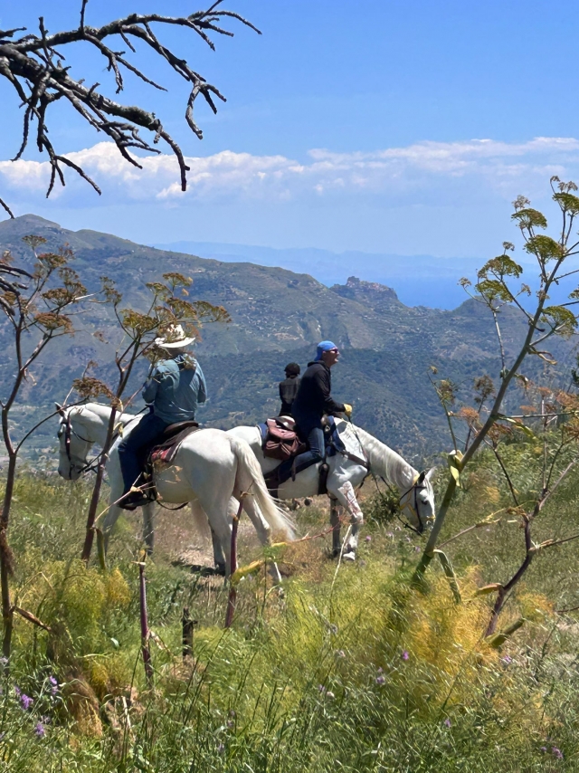  En los bellos paisajes 