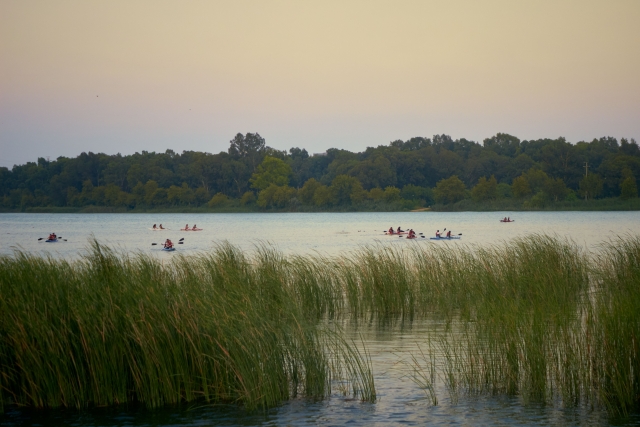 Renta de canoa de medio día en el lago Vico