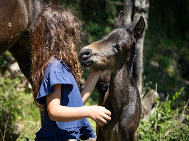 Visita a la finca y experiencia a caballo en Rosasco 1,5 horas