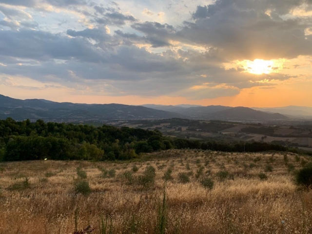  El campo al atardecer 