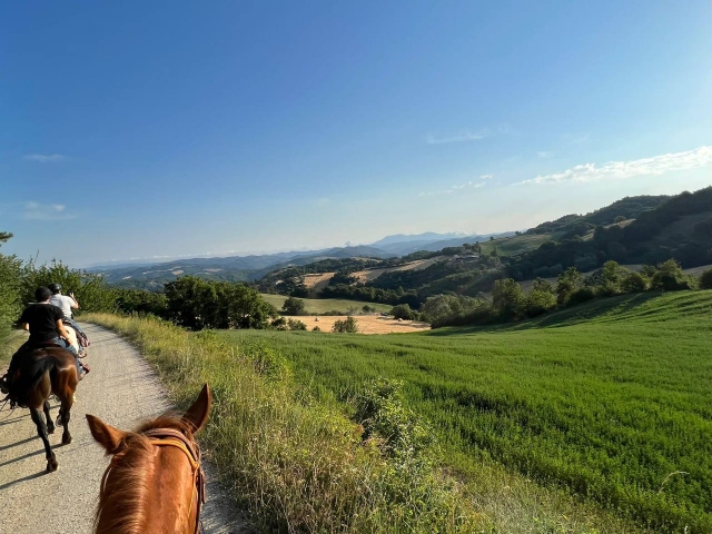  Paseo a caballo 