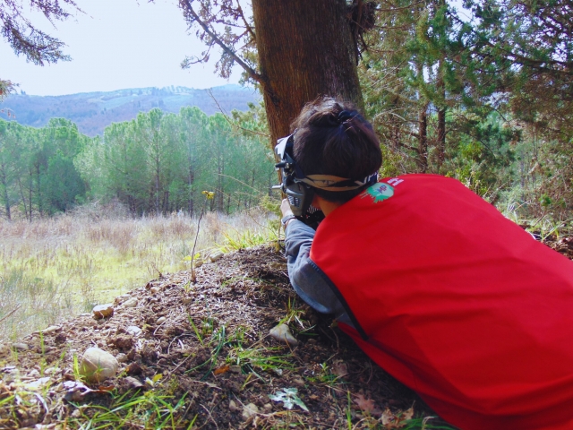 Escondido en el bosque