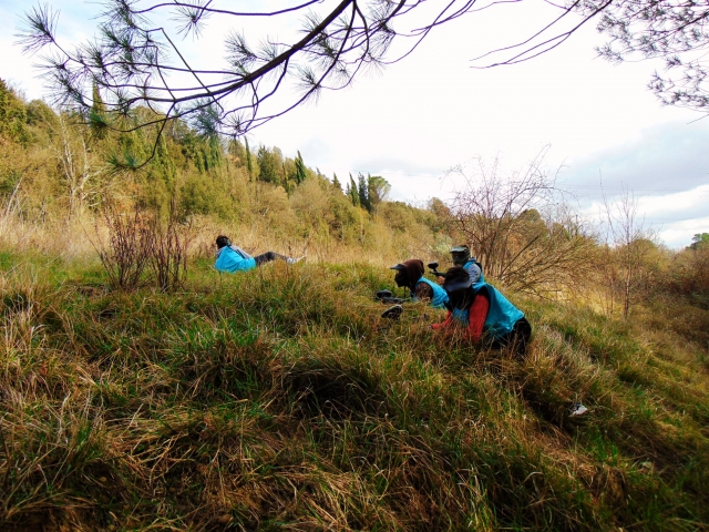 Camuflados en el bosque