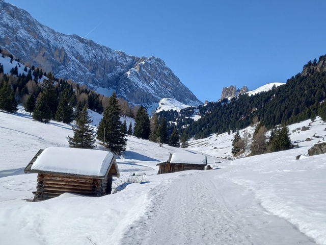  Dolomitas nevadas 