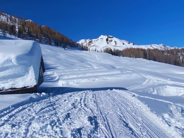  Nevados 