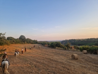Paseo a caballo al atardecer Fosso della Mola 2h