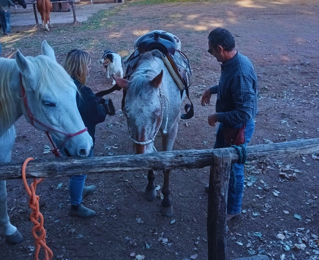  Nuestros corceles 