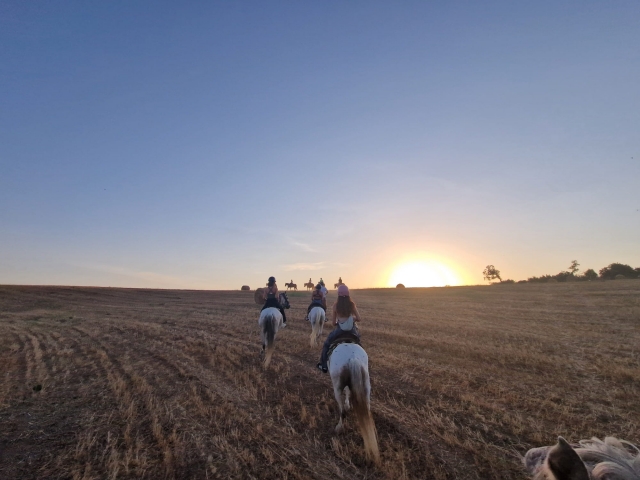  Cabalgando al atardecer 