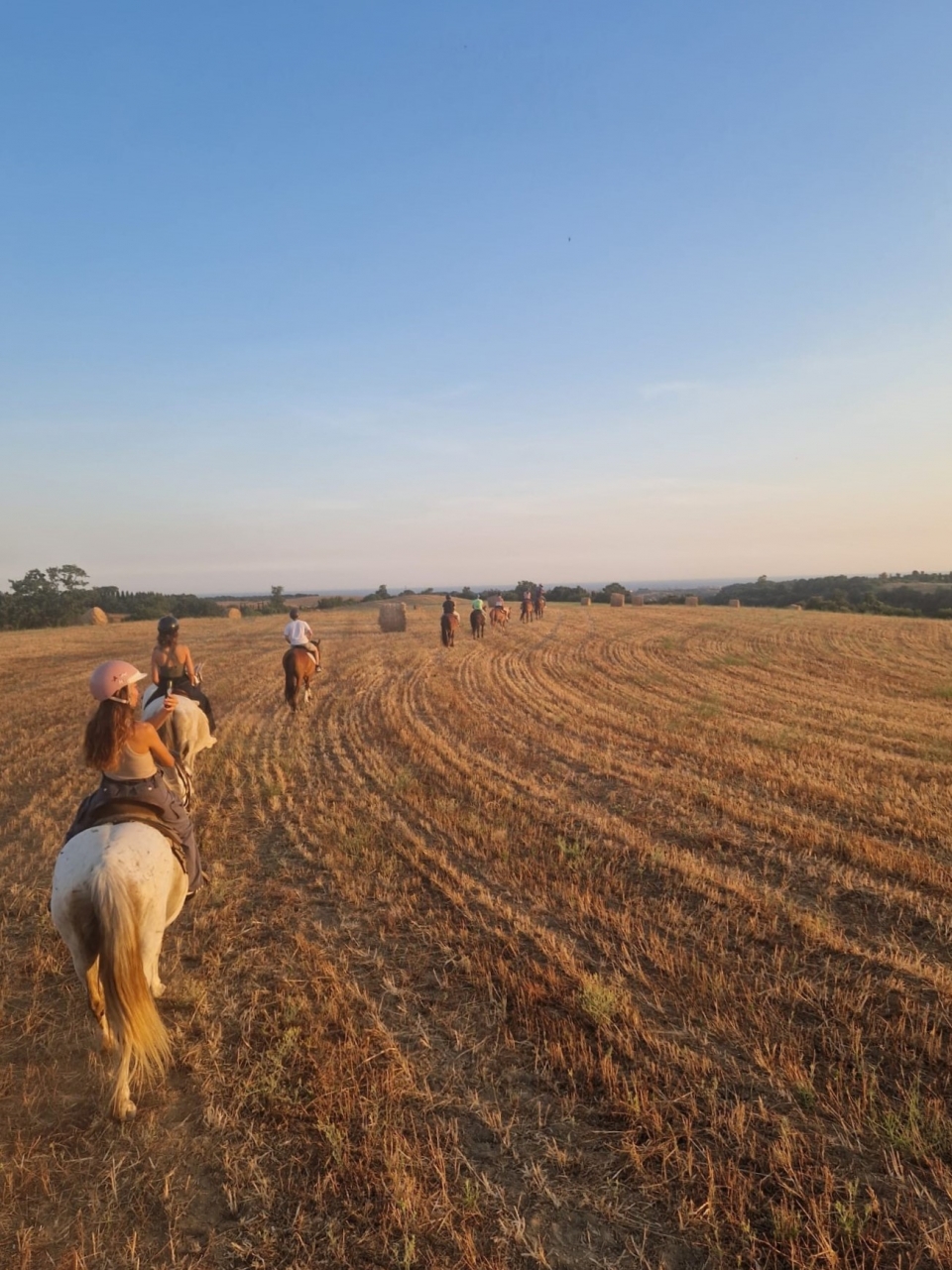  Atardecer en el campo