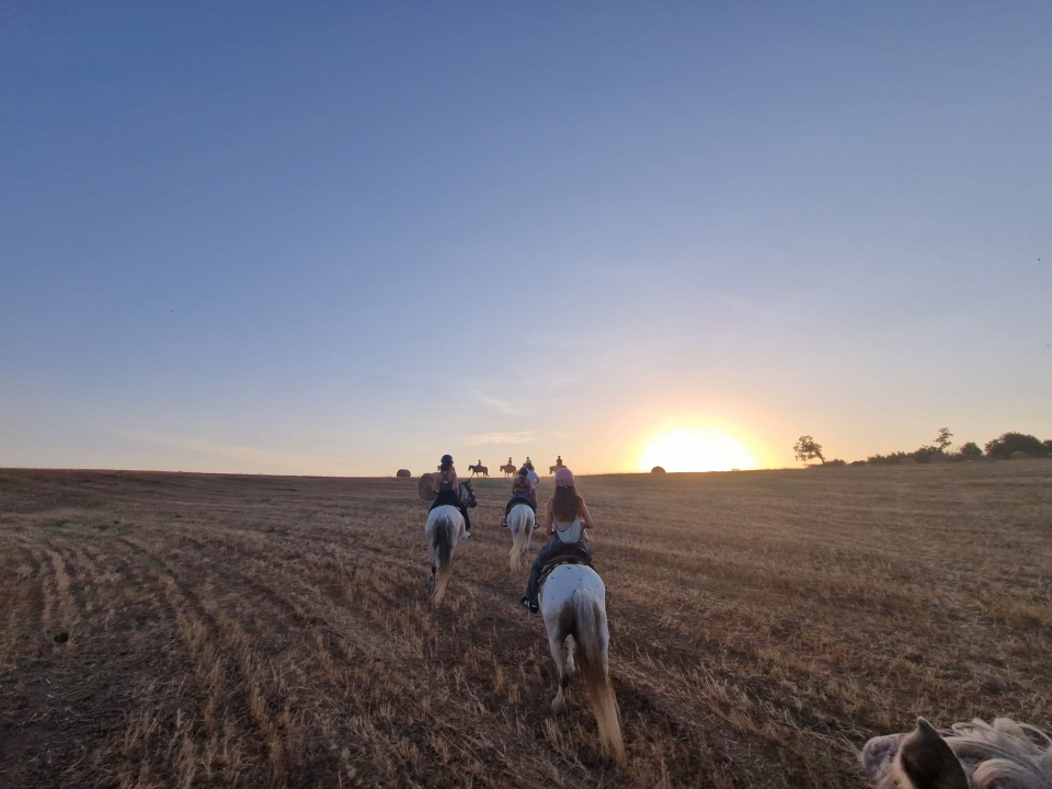  Cabalgando al atardecer 
