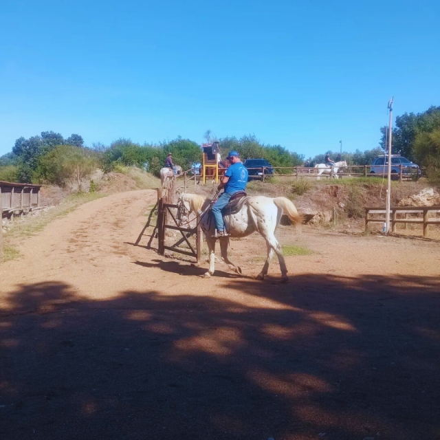 Partiendo 