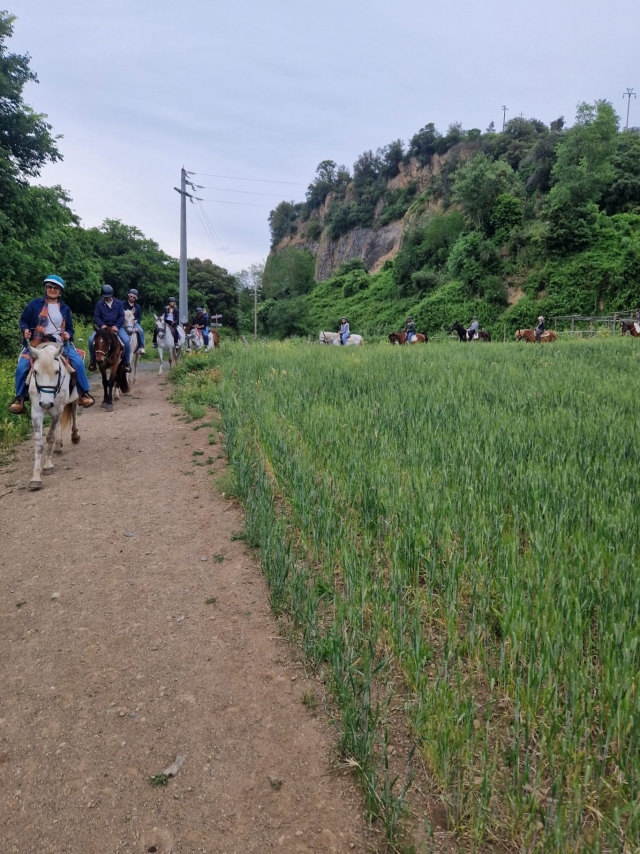  caminando entre el verdor 