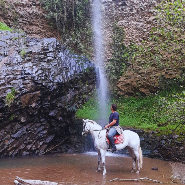  En plena naturaleza 