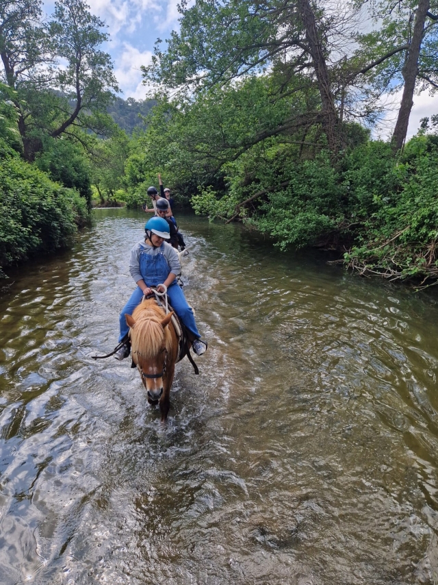  Torrente
