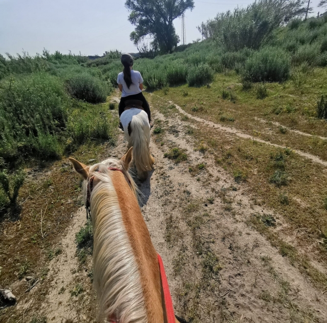  Excursión a caballo en grupo