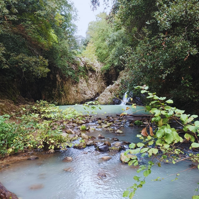  Ford de Sant'Antonio en Ceteri 