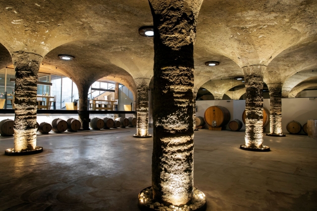 Visita y degustación 