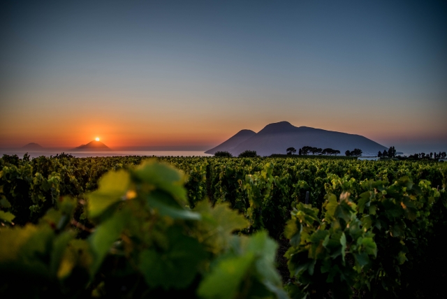  Panorama al atardecer 