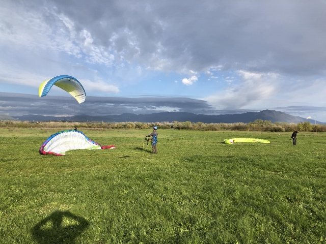 Descanso sobre el pasto