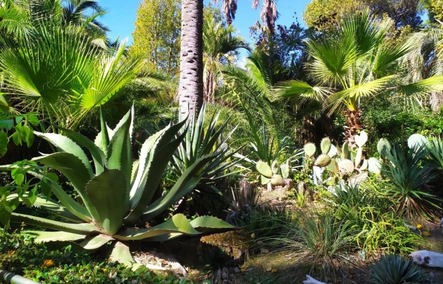  Un oasis natural en el centro de Roma 