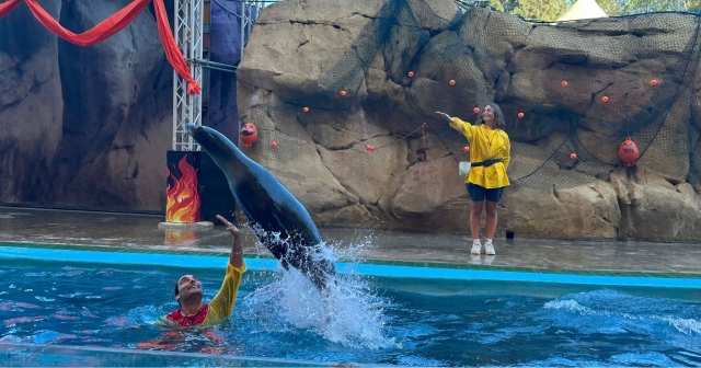 Acrobacias acuáticas 