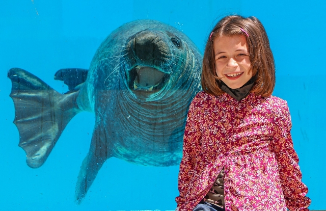  Sonrisas 