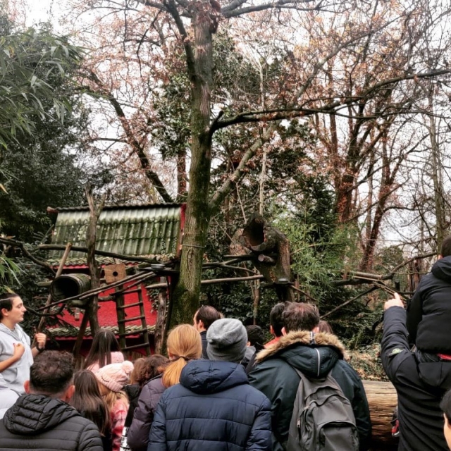 p-88448-giardino-zoologico-pistoia-1672583982-3006174785512153485-17847864981706716396_17067183606284.jpg