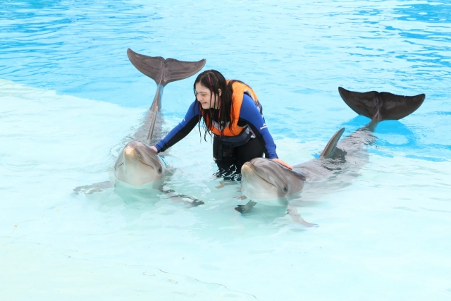  Encuentro con los delfines 