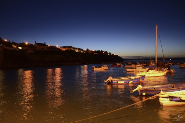  Barcos amarrados a la orilla 