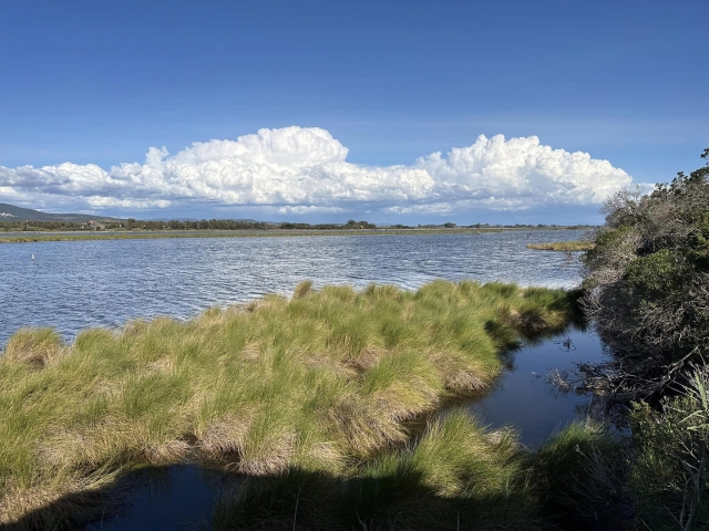  La espléndida laguna de Orbetello 
