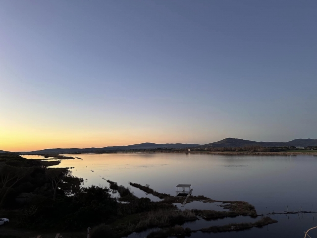  Puesta de sol sobre el oasis naturalista 