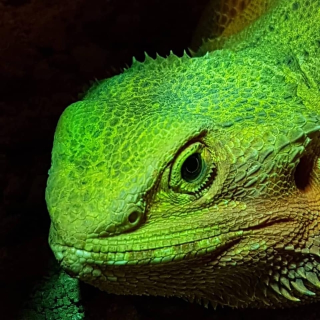  Los colores de la naturaleza
