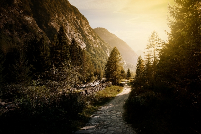  Los bosques de Valtellina 