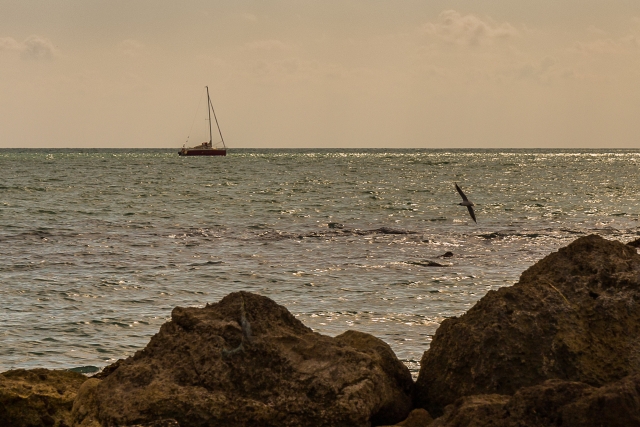  Panorama del Mediterráneo 