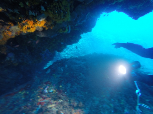  Buceo 