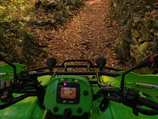  En cuatrimoto en el bosque 