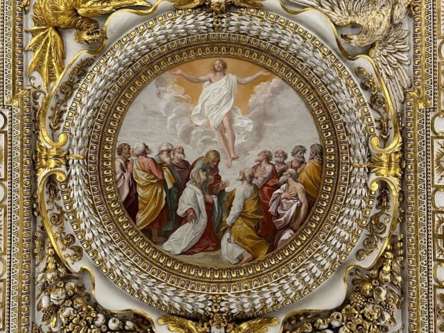  Colecciones Vaticanas 