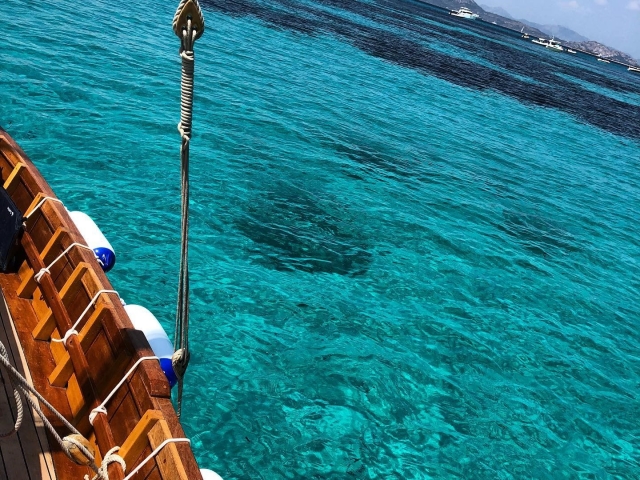 Excursión en velero