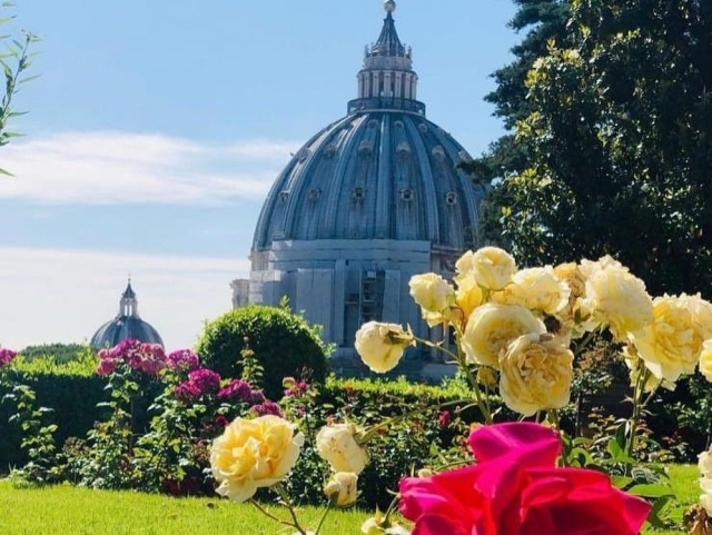  Floración Plantas en los Jardines del Vaticano.