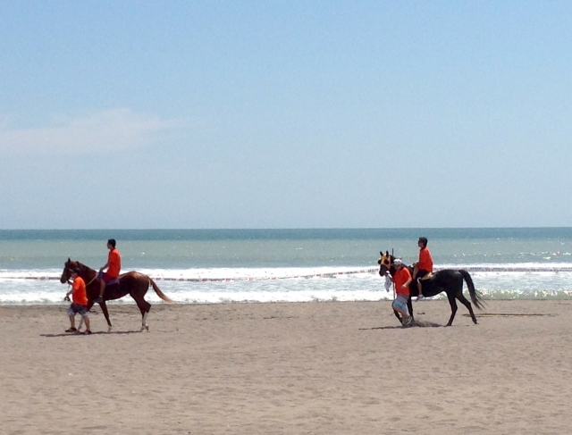  Pbaños a caballo por la playa 