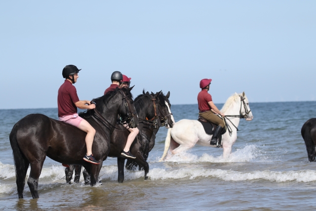  Pbaños a caballo en grupo