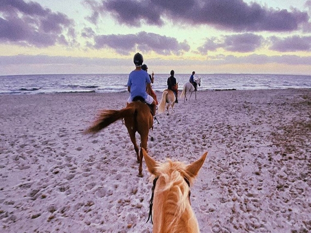  En la playa de Arborea 