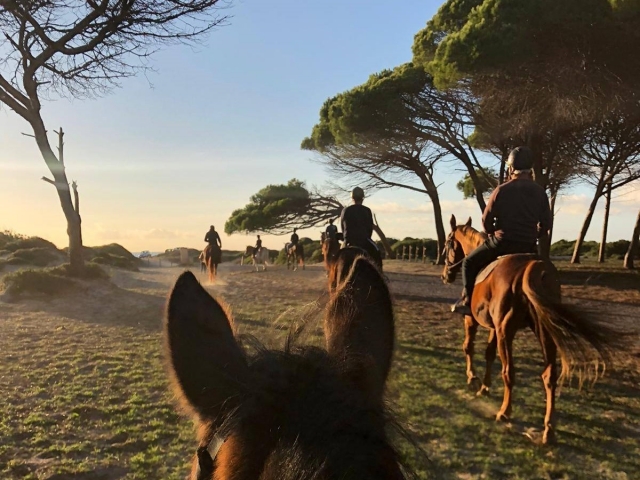  Paseo a caballo en grupo en atardecer