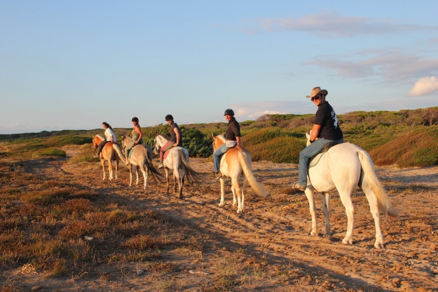 Atardeces en la provincia de Oristano 