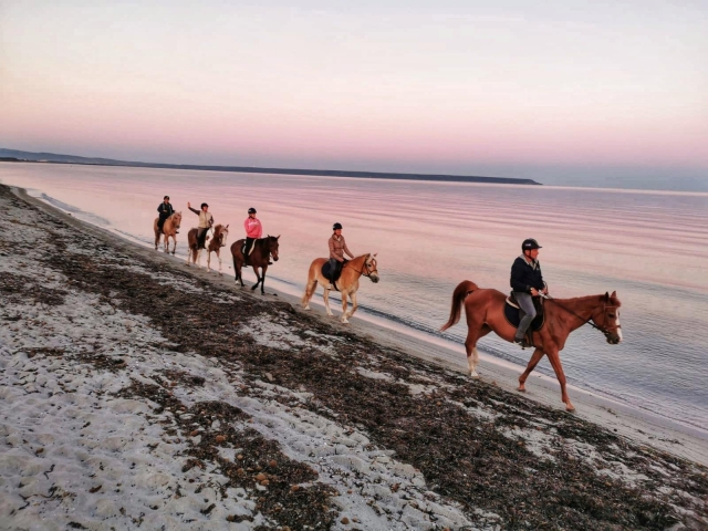  A la orilla del mar al atardecer 