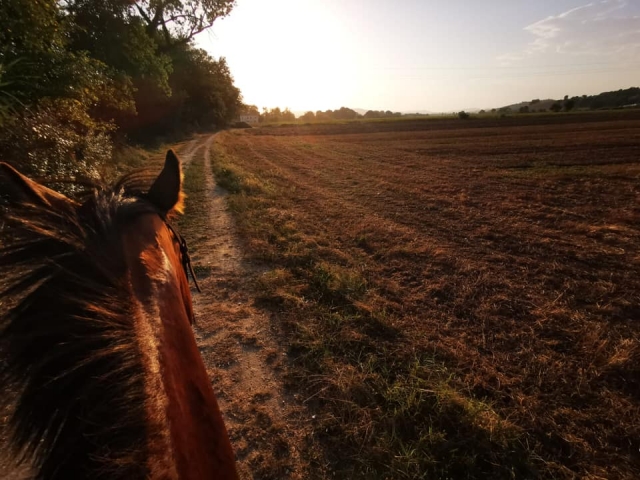 Cabalgando por la tarde en Ancona 