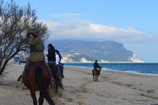  Paseo por las playas de Las Marcas 