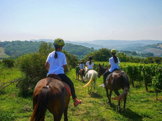  En medio del campo de Pesaro y Urbino 