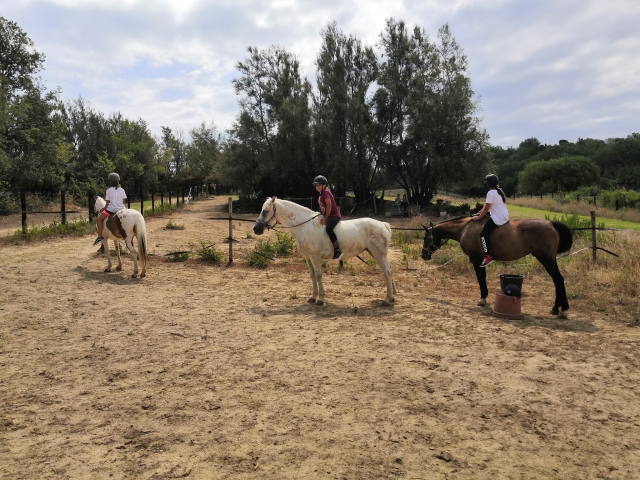 Galopando hacia el Parque de San Bartolo 